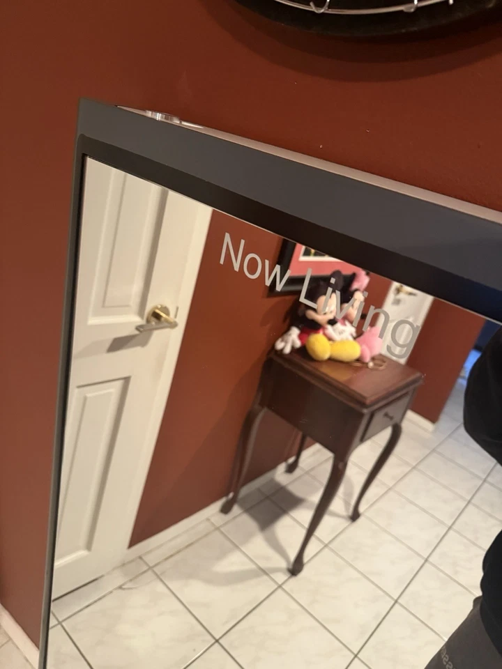 Came Up In The Drought IMirror Edición Gris Nuevo RARO Foto 4 de 4