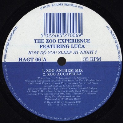 Zoo Experience - How Do You Sleep At Night?, 12'', (Vinyl)