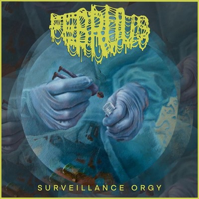 FEBRUUS SURVEILLANCE ORGY NEW CD