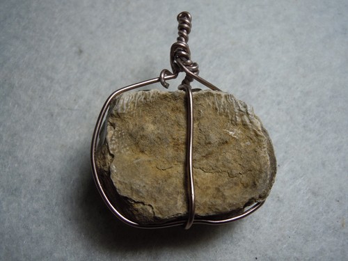 Ancient Fossil Shell Chalcedony Copper Wire Wrap Pendant Kansas Stone 115 Carats - Picture 8 of 12