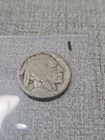 Buffalo Nickel No Date Listing 1