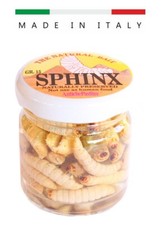 Camole Bianche Vere Mummificate Esca Pesca Trota Mummie Camola