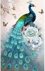 5D DIY Diamond Art Painting Kits for Adults Kids, Full Drill Peacock Embroidery