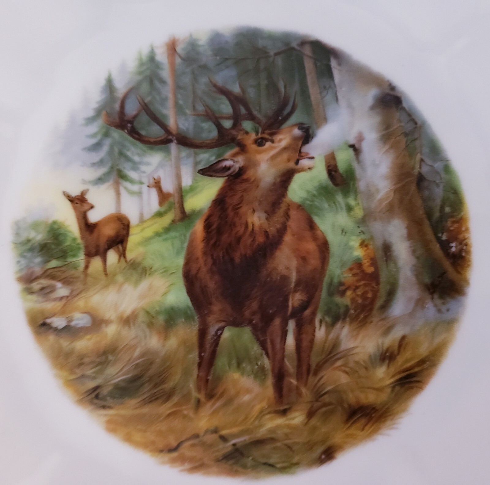 Vintage Decorative DEER STAG 81/2" PLATES 14K Trim, Punch Z S & C