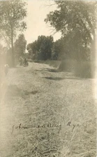 C-1910 Farm Agriculture Cutting Rye Horse Drawn RPPC Photo Postcard 396