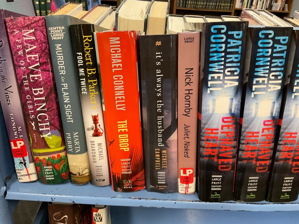 LARGE PRINT Fiction - various authors/Choose from author's with first names K-Z - Imagem 3 de 3