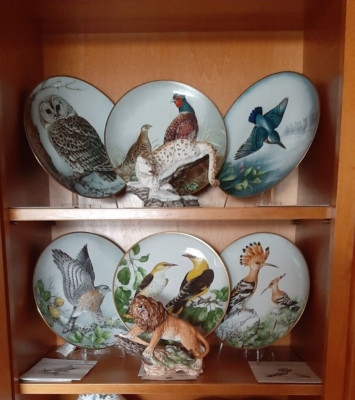 6 limitierte Sammel-Porzellanteller Franklin Mint Wild Vögel Motiv  1989  NEU