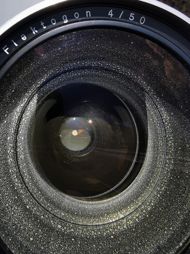 Carl Zeiss Flektogon 50 mm F4 para Pentacon 6. Lee la descripción. - Imagen 5 de 6
