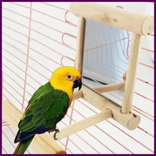 Bird Mirror Toy with Perch Stand for Parrot Budgie Parakeet Cockatiels Conure