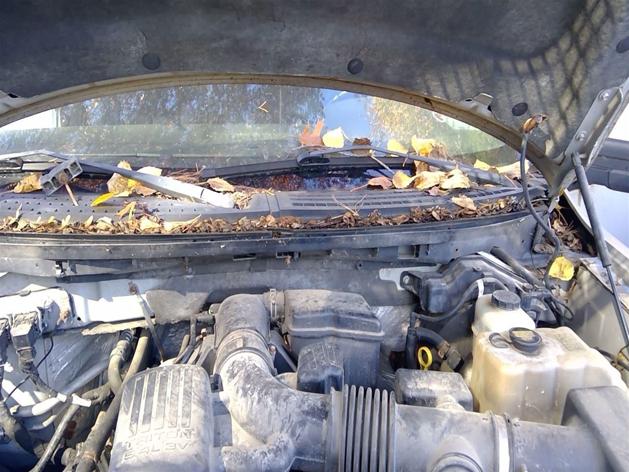 Wiper Transmission Without Automatic Wiper Fits 09-10 Ford F150 Pickup 3761089