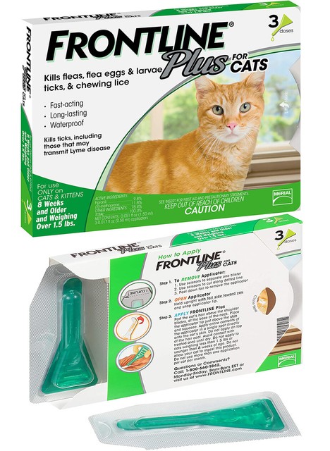 ebay frontline plus for cats