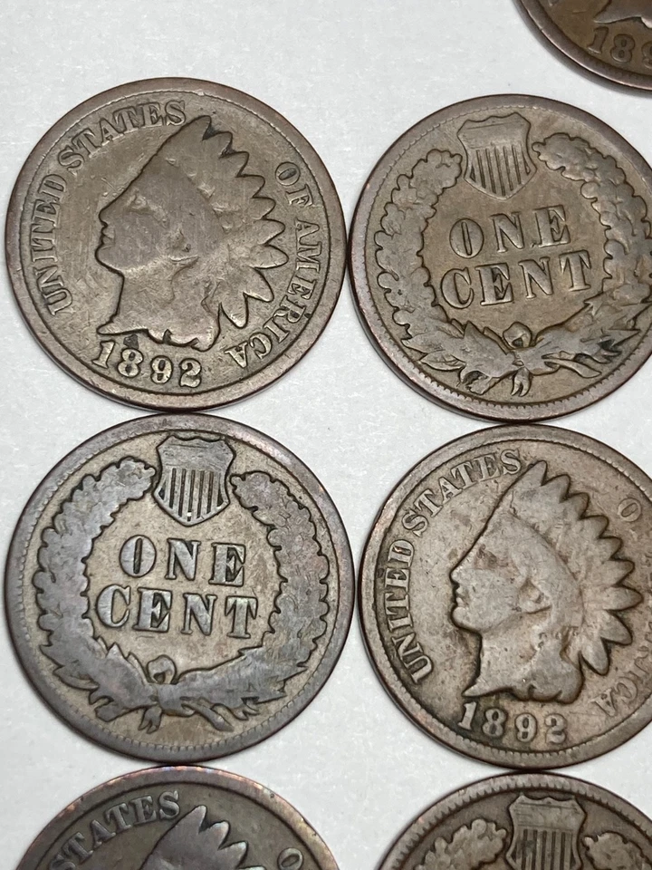 1892 INDIAN CENT ROLL, 50 nice condition coins, 133 year old coins - Image 2 of 4