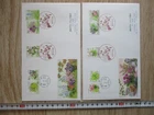 Japan Stamp First Day Cover Greetings Spring 2 Covers Large format 2022