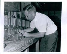 1966 Photo Don Sweet Baby Lobster Research Biologist Studies Spiny Hatch 8X10
