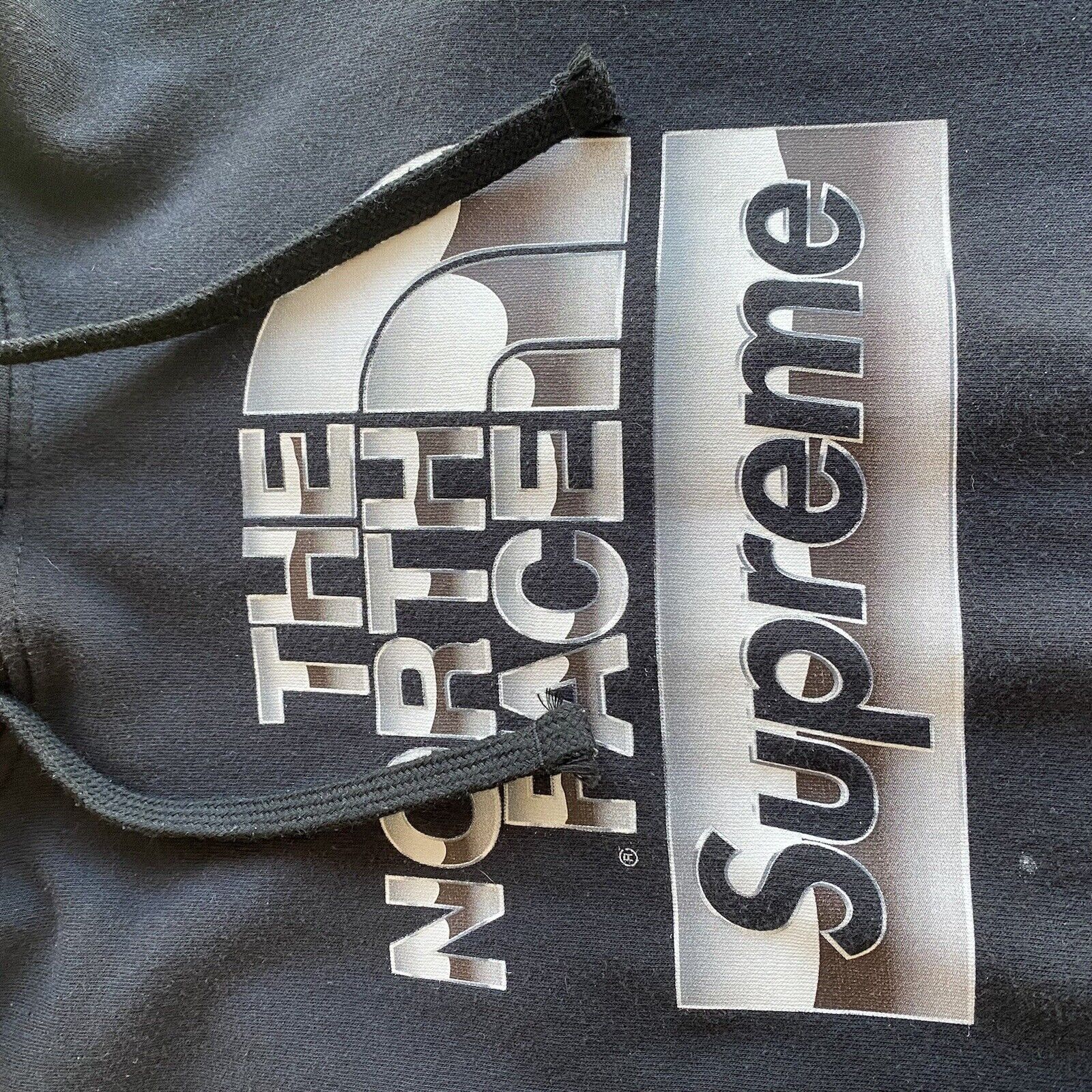 Supreme The North Face Metallic Logo Hooded Sweatshirt SS18 BlackM Winter 12