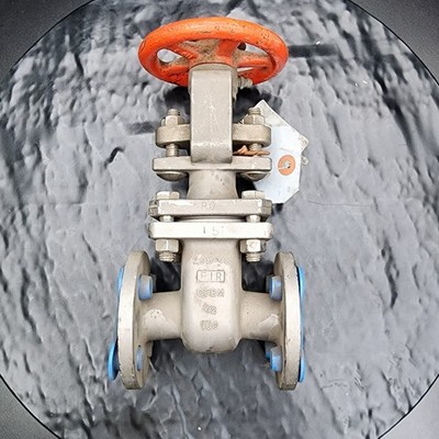 Stockham/PIR 316T 1/2'' Gate Valve 3-Piece Stainless CF8M Class 150 Flanged