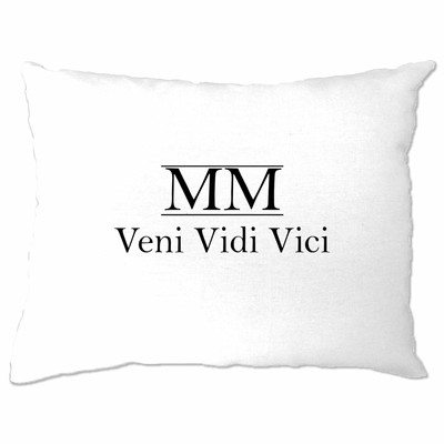 21st Birthday Pillow Case MM Veni Vidi Vici 2000 Roman Numerals Gift | eBay