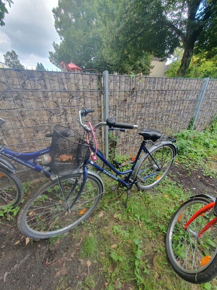 fahrräder gebraucht sehr gutes Zustand keine defekte - Bild 2 von 3