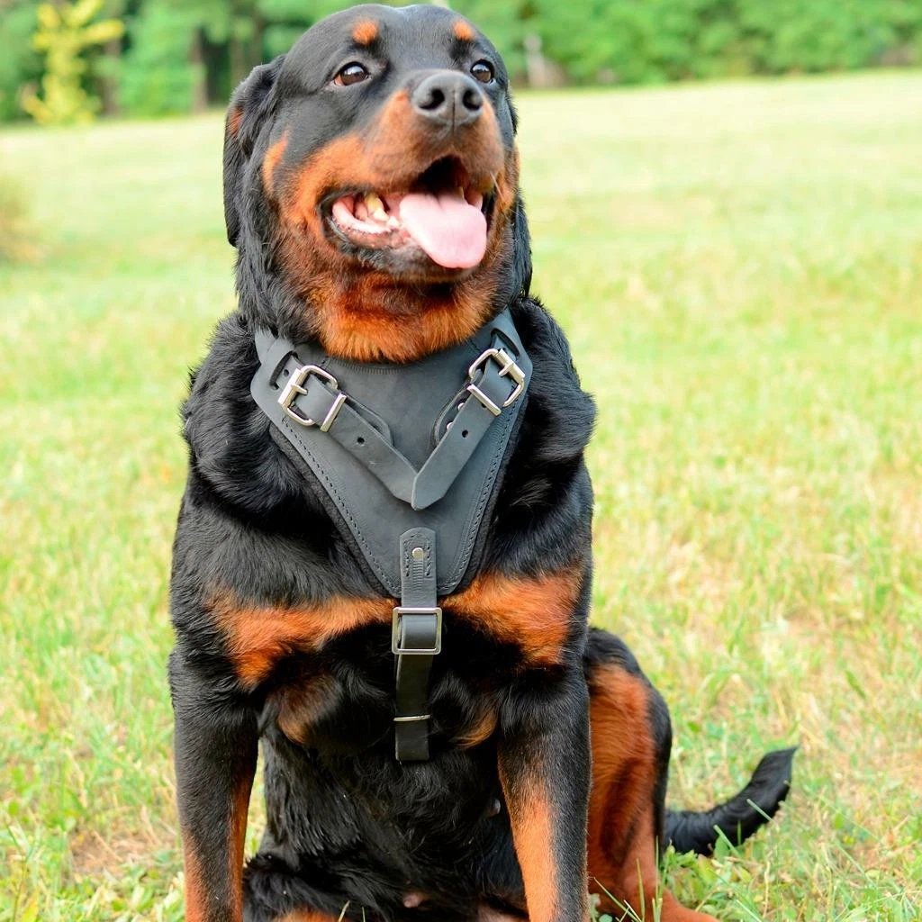 K9 Rottweiler Dog Harness with Handle for Medium Large Dogs Black Brown Padded