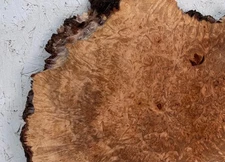 Live Edge Maple Burl Slab | MB 314