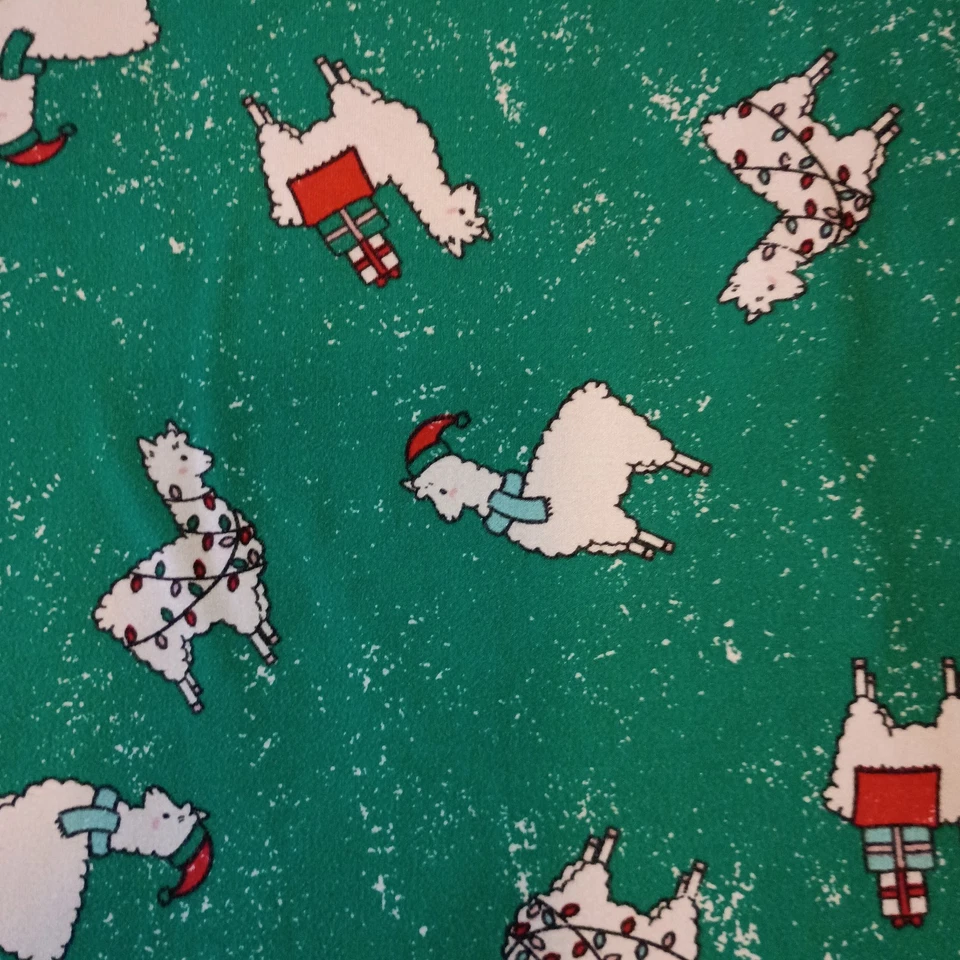 Camisón Navidad Niñas Raro Lamas Verde Manga Camisa Franela Talla 10 Sueño Foto 2 de 4