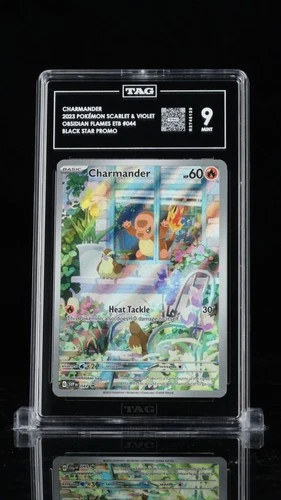 Charmander 044 Sv: Scarlet & Violet Promo Cards Holo TAG 9