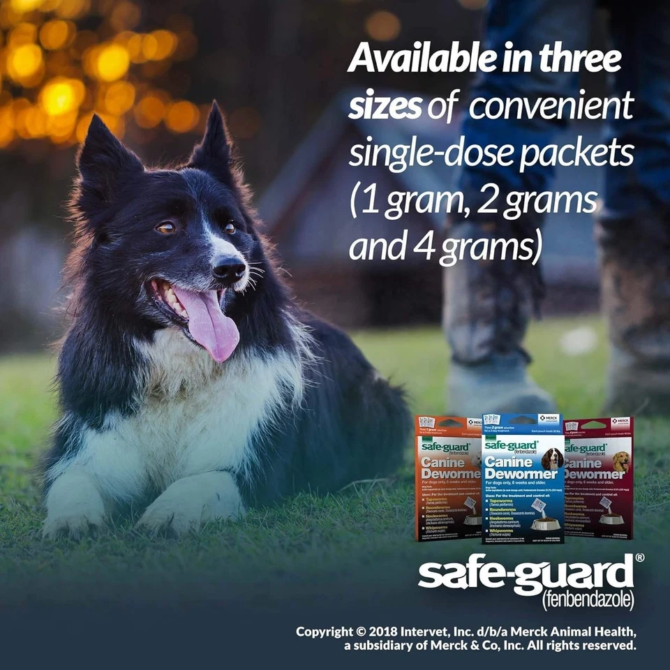 Desparasitante canino Safe-Guard para perros rojo granular bolsa de 4 gm, tratamiento de 3 días Foto 4 de 4
