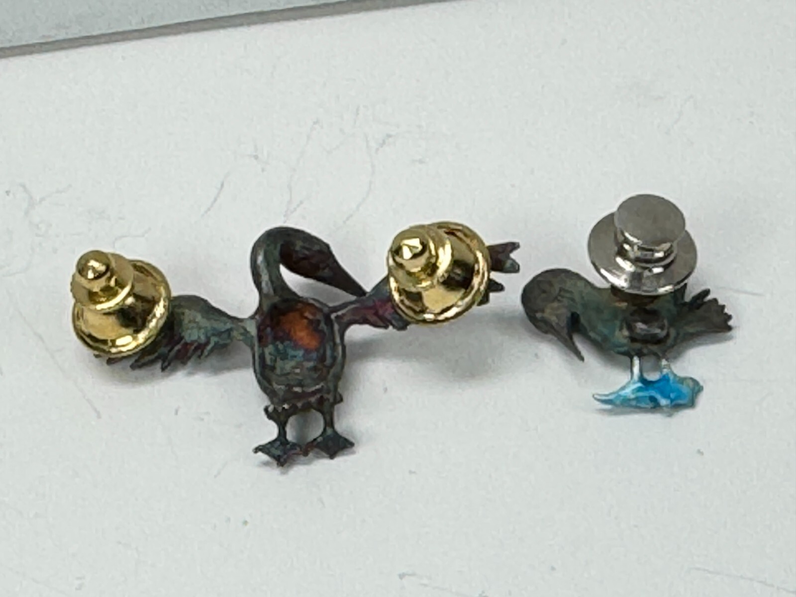 Picture 5 of 14