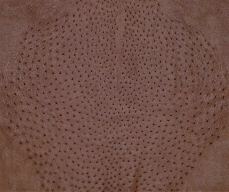  Ostrich Leather Hide  Rustic Brown Color   (%100 Natural Genuine Hide)   - Image 2 of 4