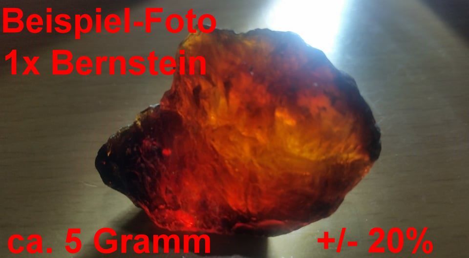 Bild 19 von 158