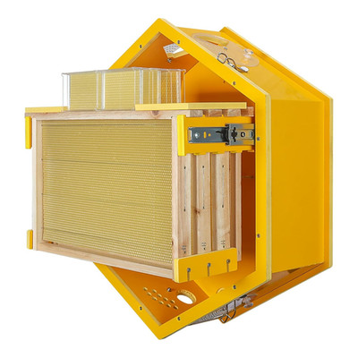 Observation Beehive Starter Kit with 3 Frames & 6 Honeycomb Trays, Wall-Mounted