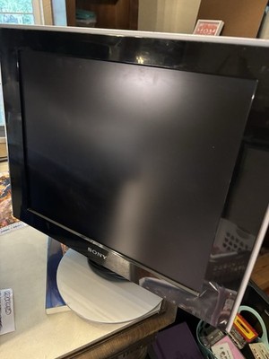Sony SDM-HS73 19 in LCD Monitor 1280x1024 DVI-D VGA Tiltable Black/Silver