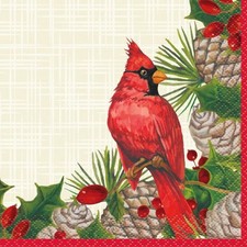 Red Cardinal Christmas Plaid Paper 16 Ct Beverage Cocktail Napkins