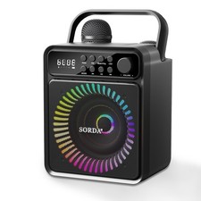 Portable Bluetooth Karaoke Machine for Adults  Kids-2 Wireless Microphones, ...