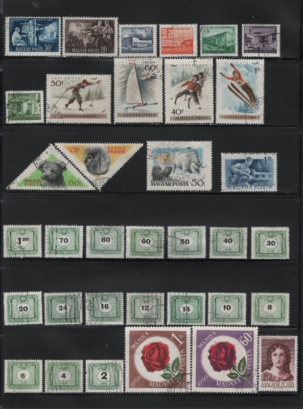 Centsational Hungary Amazing Used Group