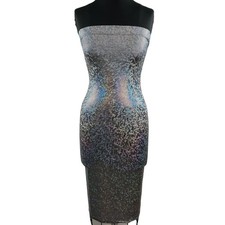 NWT Fashion Nova Women's Silver Halo Strapless A Shimmer Frenzy Bodycon Dress M