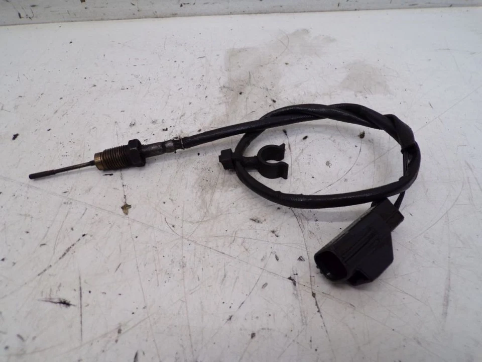 Sensor de temperatura de los gases de escape para Ford C - Max (DM2) 1.6 TDCI Facelift Foto 2 de 4