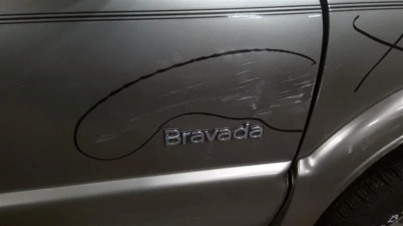 Passenger Front Door GMC Electric Fits 98-05 BLAZER S10/JIMMY S15 341946 — 第 2/4 张图片