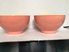 LINDT STYMEIST COLORWAYS ALL PURPOSE  BOWLS SET  TWO SALMON  AND YELLOW