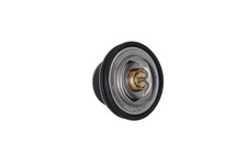 Thermostat Audi V8