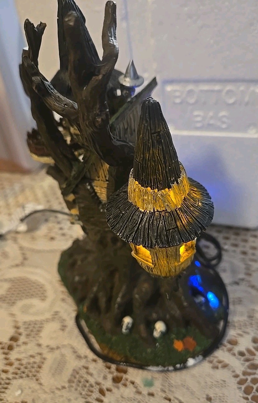 Picture 6 of 12