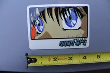 Hook-Ups Skateboards Anime Eyes Original 90's GB1 Vintage Skateboarding STICKER
