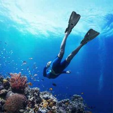 Snorkeling Foot Diving Fins Adjustable Adult Swimming Comfort Fins Flippers New