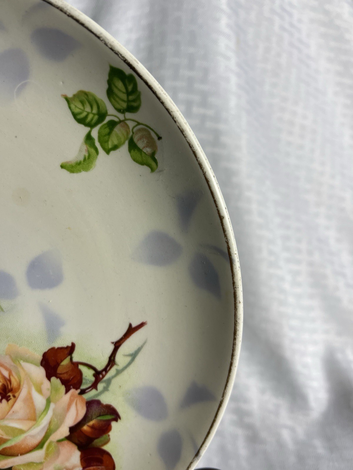 Dresden China Floral Rose 10” Plate R4586