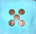 1930 35 36 37 38 Denver mint Lincoln Wheat Cent Penny Set