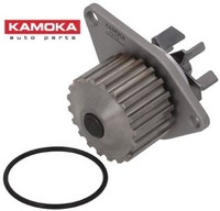 Kamoka T0078 Wasserpumpe Wapu FüR Citroen FüR Peugeot