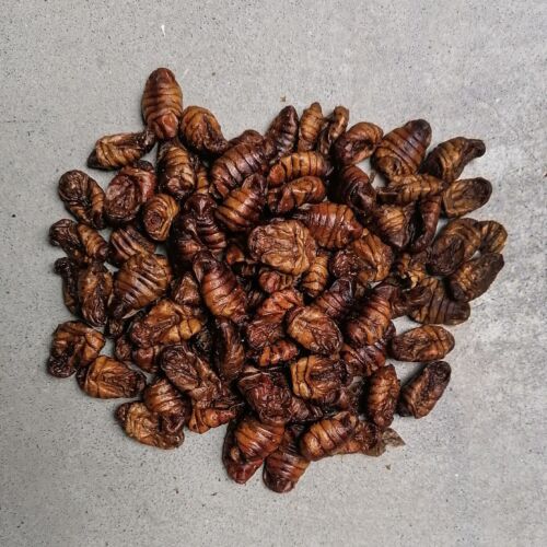 Seidenraupen Mehlwürmer Gammarus Garnelen Beutel Mehr-Sorten-Mix getrocknet 1 kg - Bild 3 von 9