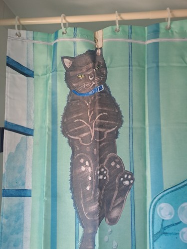 Katzenwäsche Kunstdruck ODER Duschvorhang shower curtain von SARA HORWATH - Bild 8 von 16