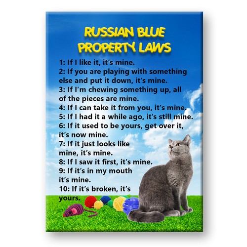 Russian Blue Cat Property Laws Fridge Magnet Funny