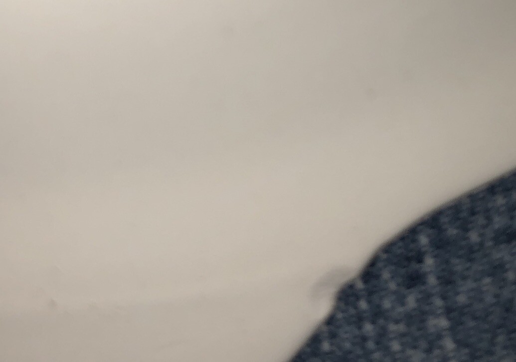 Picture 4 of 4